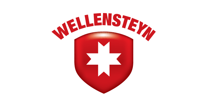 logo_0024_Wellensteyn-Logo-3D-RZ-IL9.png